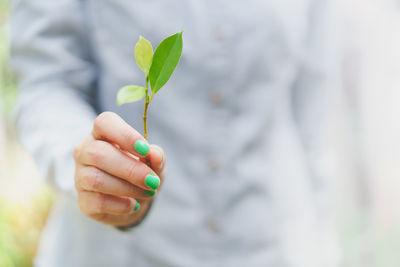 Midsection of woman holding twig