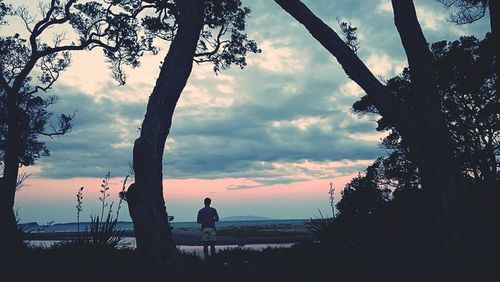 Silhouette of trees against cloudy sky