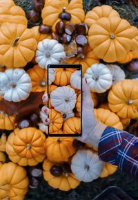 High angle view of orange flowers on table