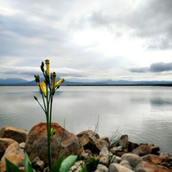 Scenic view of lake against sky