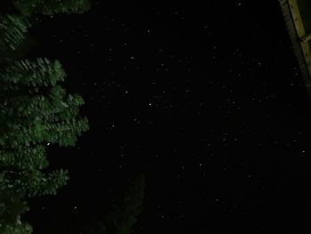 Low angle view of trees against sky at night