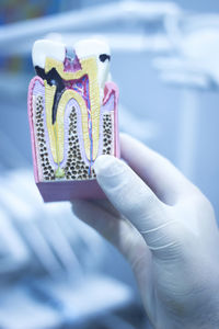 Cropped hand of dentist holding dental equipment in medical clinic