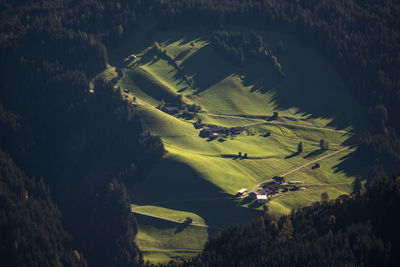 High angle view of trees on field