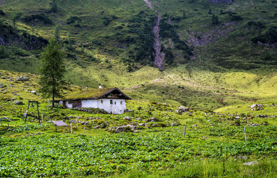 View of farmhouse