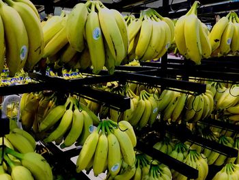 Close-up of fruits hanging at market stall