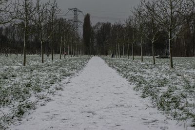 View of trees on snow covered landscape