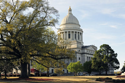 View of trees and building against sky