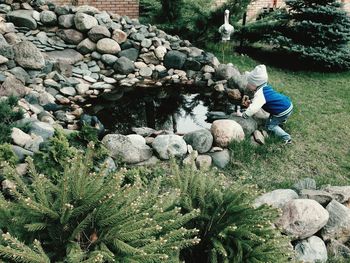 rock - object