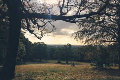 Silhouette trees on field against sky during sunset