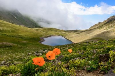 Scenic view of mountains against sky