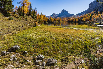 Scenic view of landscape against sky