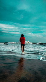 Rear view of man on beach against sky