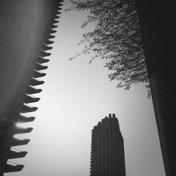 Low angle view of tree against sky