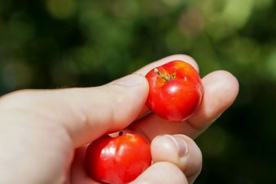 Close-up of hand holding strawberry