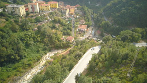 High angle view of street amidst trees in city