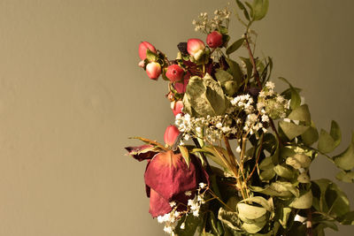 Close-up of red flowering plant against wall