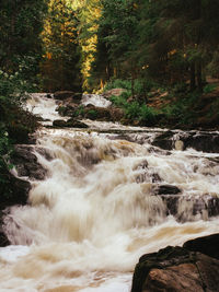 Scenic view of waterfall in forest