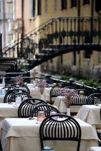 Close-up of zebra on table in city