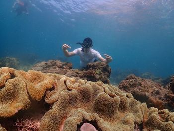 Man swimming in sea