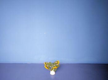 Close-up of yellow flower on table