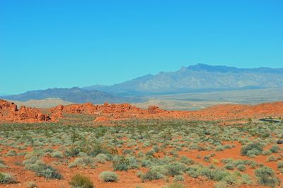 Scenic view of landscape against clear sky