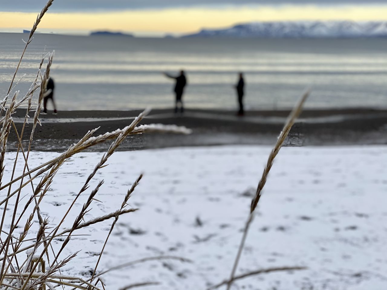 SILHOUETTE PEOPLE ON SHORE DURING WINTER