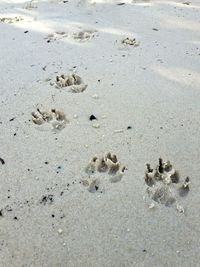 High angle view of footprints on sand at beach