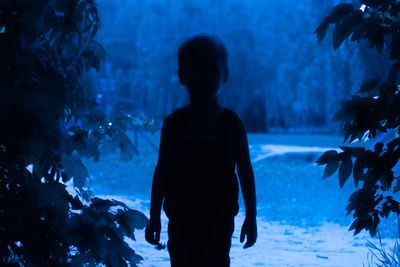 Silhouette of boy standing on land admist plant