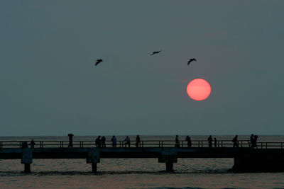 Silhouette birds flying over sea against clear sky