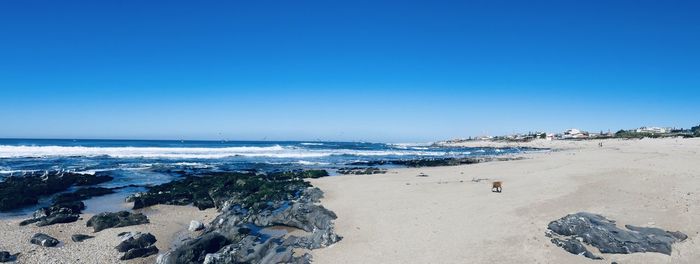 Panoramic view of beach against clear blue sky