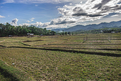 Scenic view of field against sky