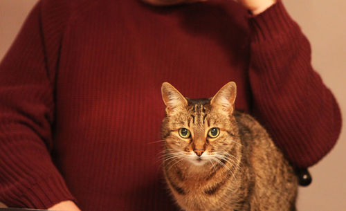 Close-up portrait of cat sitting with woman