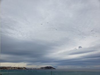 Birds flying over sea against sky