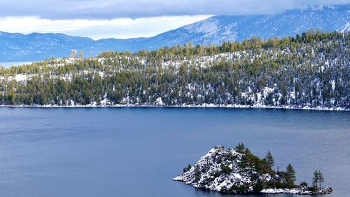 Scenic view of tree by lake against sky