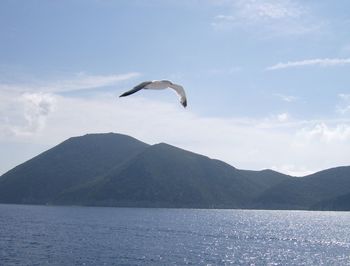 Seagull flying over sea against mountains