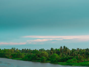 Scenic view of trees against sky during sunset