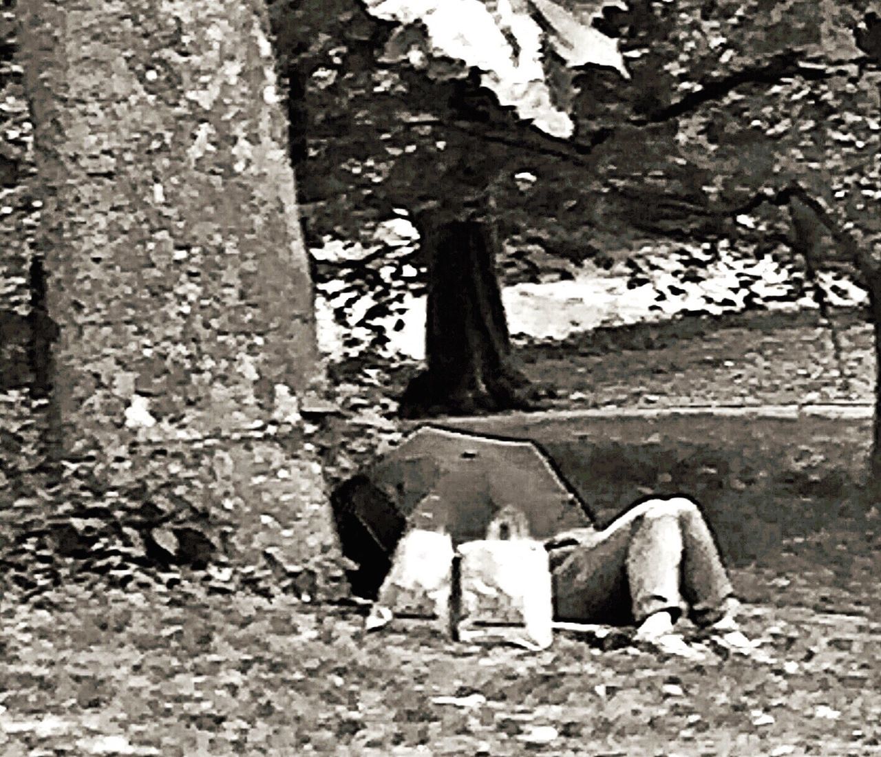 REAR VIEW OF YOUNG MAN SITTING ON TREE STUMP