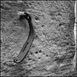 Close-up high angle view of lizard