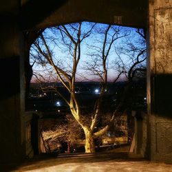 Built structure with trees in background