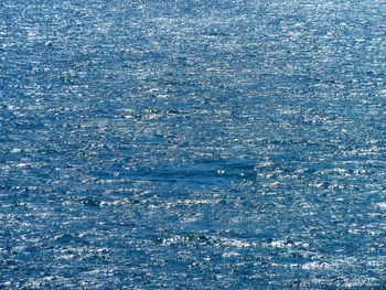 Full frame shot of sea