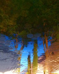 Reflection of trees in lake against blue sky