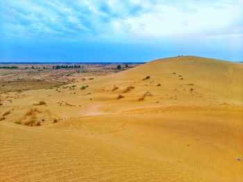 Desert in springtime