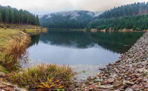 Scenic view of lake by trees against sky