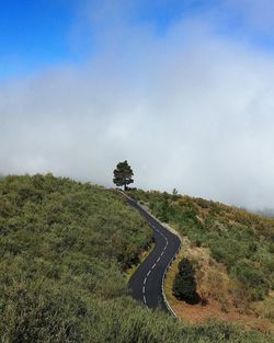 Scenic view of road amidst trees against sky