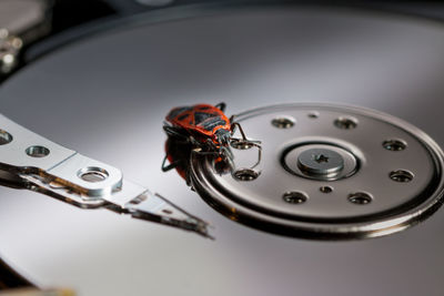 High angle view of beetle on hard drive