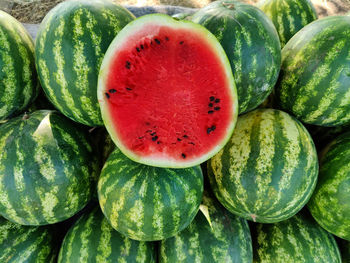 watermelon