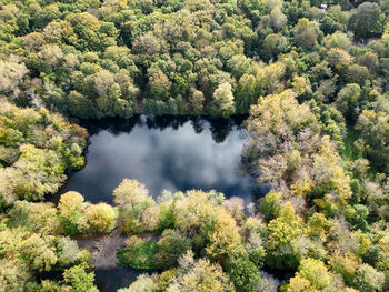 Aerial photo of the segmeertje pond in the meer en bos park in the hague with autumn-coloured trees.