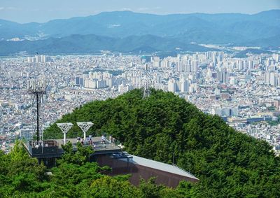 High angle view of trees and buildings in city