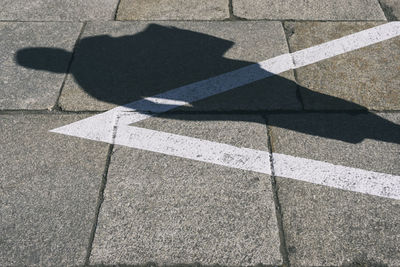 High angle view of zebra crossing on street