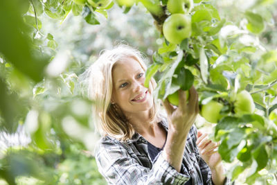 Women picking apples